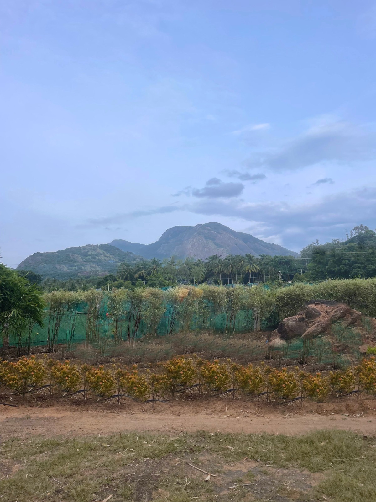 farm house in Aliyar